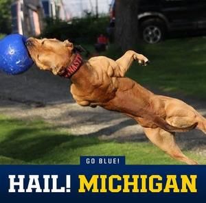 Meet your Posher, Tommy